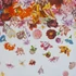 Kép 3/6 - Flower Rain Coconut
