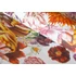 Kép 5/6 - Flower Rain Coconut