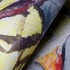 Kép 5/7 - Butterfly Fish