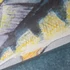 Kép 4/7 - Butterfly Fish