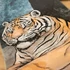 Kép 5/6 - Tiger