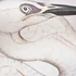 Kép 3/6 - Prismen Heron
