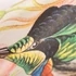 Kép 5/6 - Birds Paradise